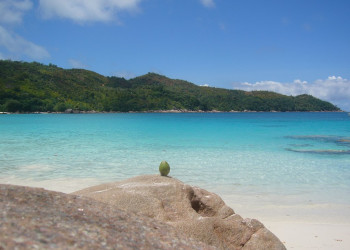 Остров Праслин, Сейшелы. Фото 19 – фотографии Сейшельских островов