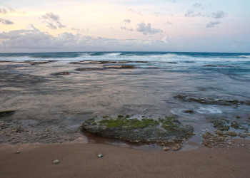 Восточное побережье, Барбадос. Фото 4 – фотографии Барбадоса