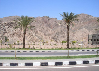 Таба, Египет, фото № 35448 – фотографии Египта