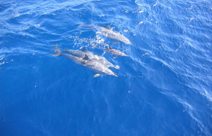 Макади-Бэй, Египет, фото № 35306 – фотографии Египта