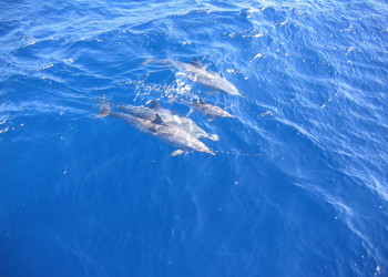 Макади-Бэй, Египет, фото № 35306 – фотографии Египта