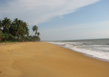 Калутара, Шри-Ланка, фото № 51249 – фотографии Шри-Ланки