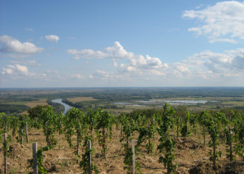Токай, Венгрия, фото № 70737 – фотографии Венгрии