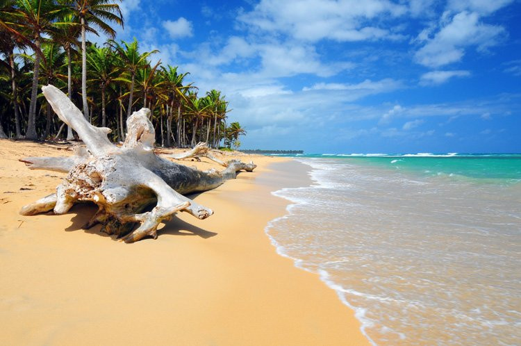 Пунта-Кана, Доминикана, фото № 30509 – фотографии Доминиканы