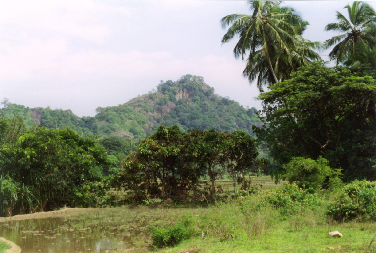 Полоннарува, Шри-Ланка, фото № 52158 – фотографии Шри-Ланки
