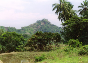 Полоннарува, Шри-Ланка, фото № 52158 – фотографии Шри-Ланки