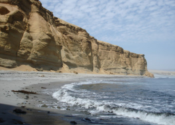 Национальный заповедник Паракас (Paracas National Reserve) – фотографии Перу