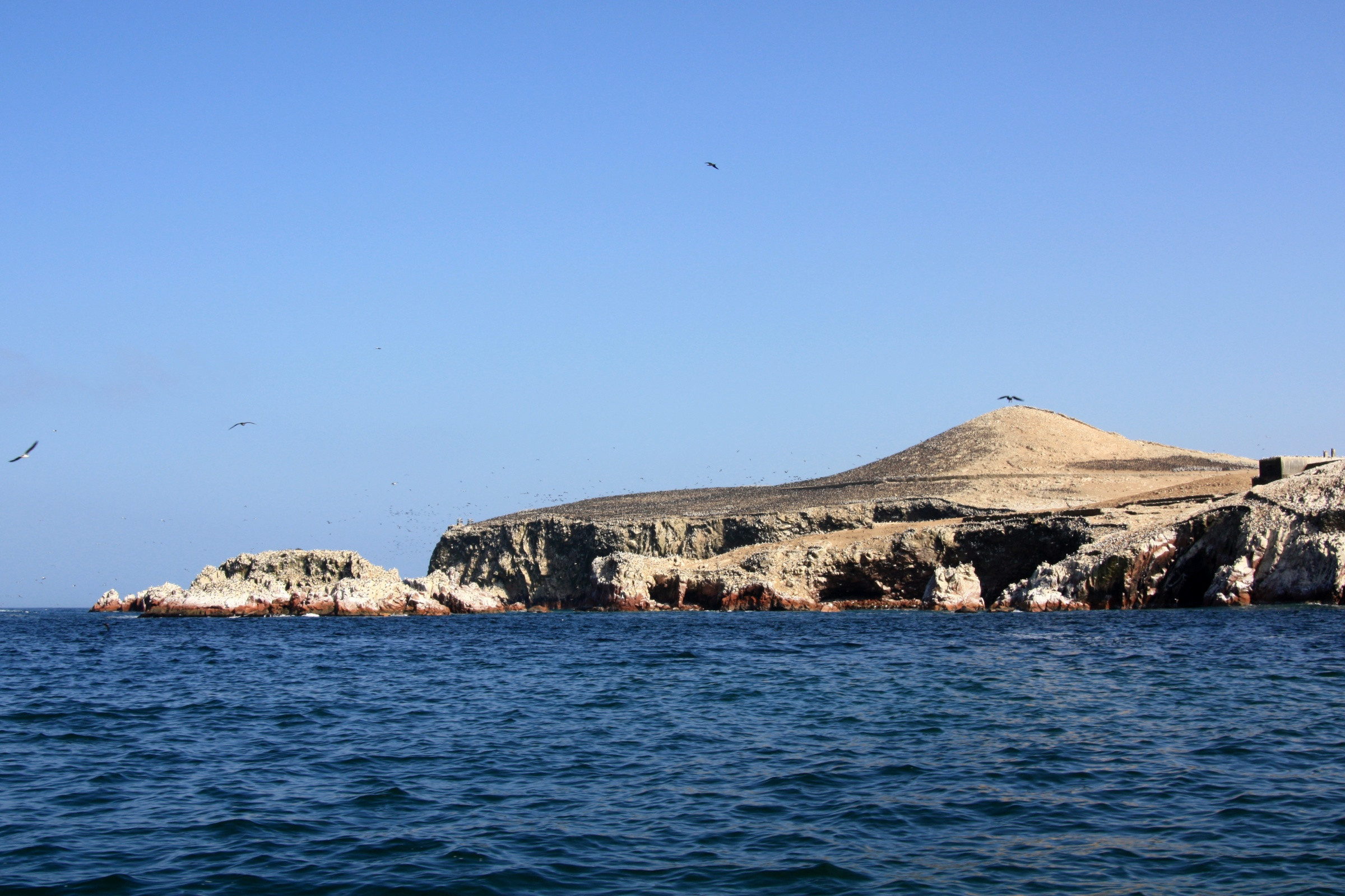 Бальестас - группа скалистых островов в Перу – фотографии Перу