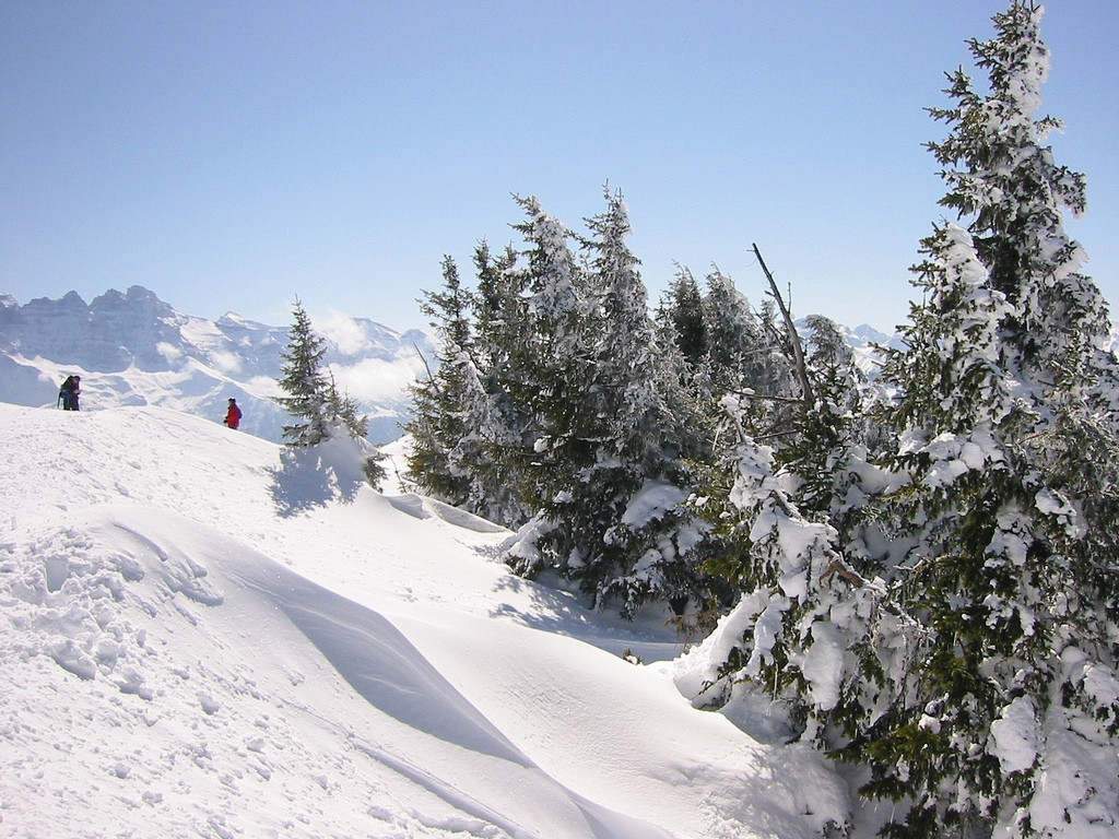 Снег в Шателе, Франция. Фото 4 – фотографии Франции