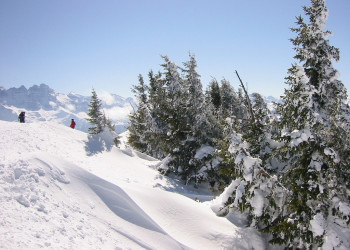 Снег в Шателе, Франция. Фото 4 – фотографии Франции