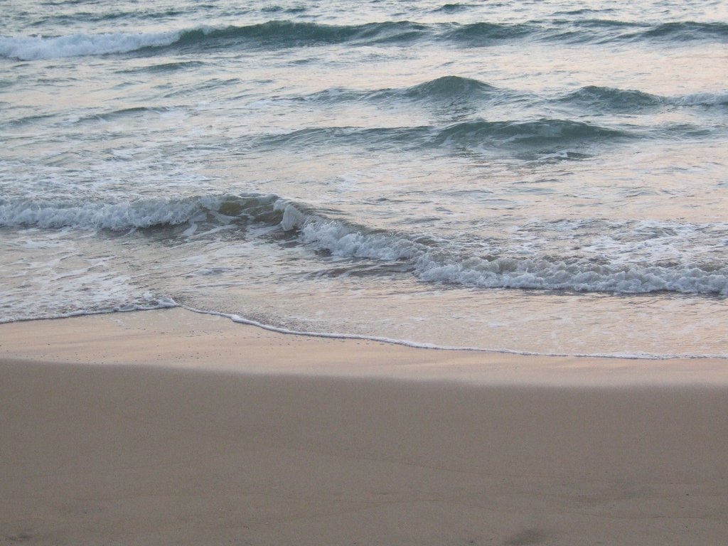 Коcгода, Шри-Ланка, фото № 51514 – фотографии Шри-Ланки