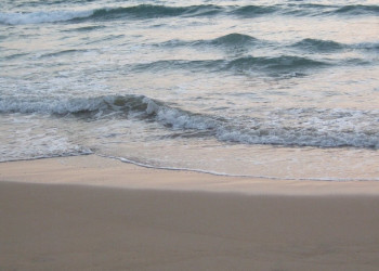 Коcгода, Шри-Ланка, фото № 51514 – фотографии Шри-Ланки