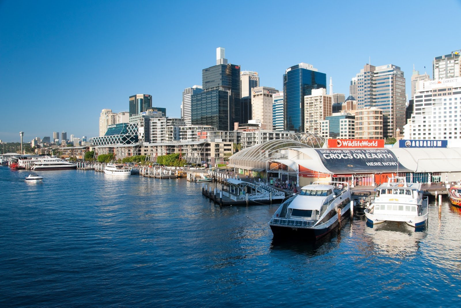 Яхты и катера в Сиднеи, Австралия – фотографии Австралии