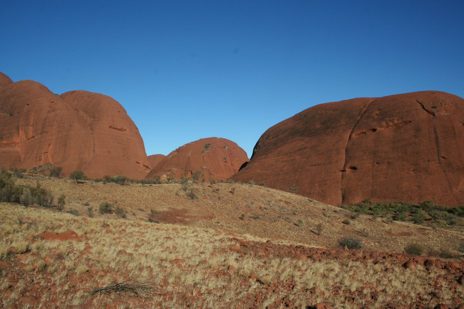 Саванна в Австралии – фотографии Австралии