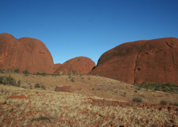 Саванна в Австралии – фотографии Австралии