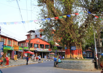 Покхара, Непал, фото № 79359 – фотографии Непала