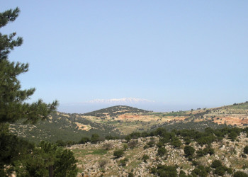 Аджлун, Иордания, фото № 35934 – фотографии Иордании