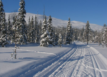 Юлляс, Финляндия, фото № 75369 – фотографии Финляндии