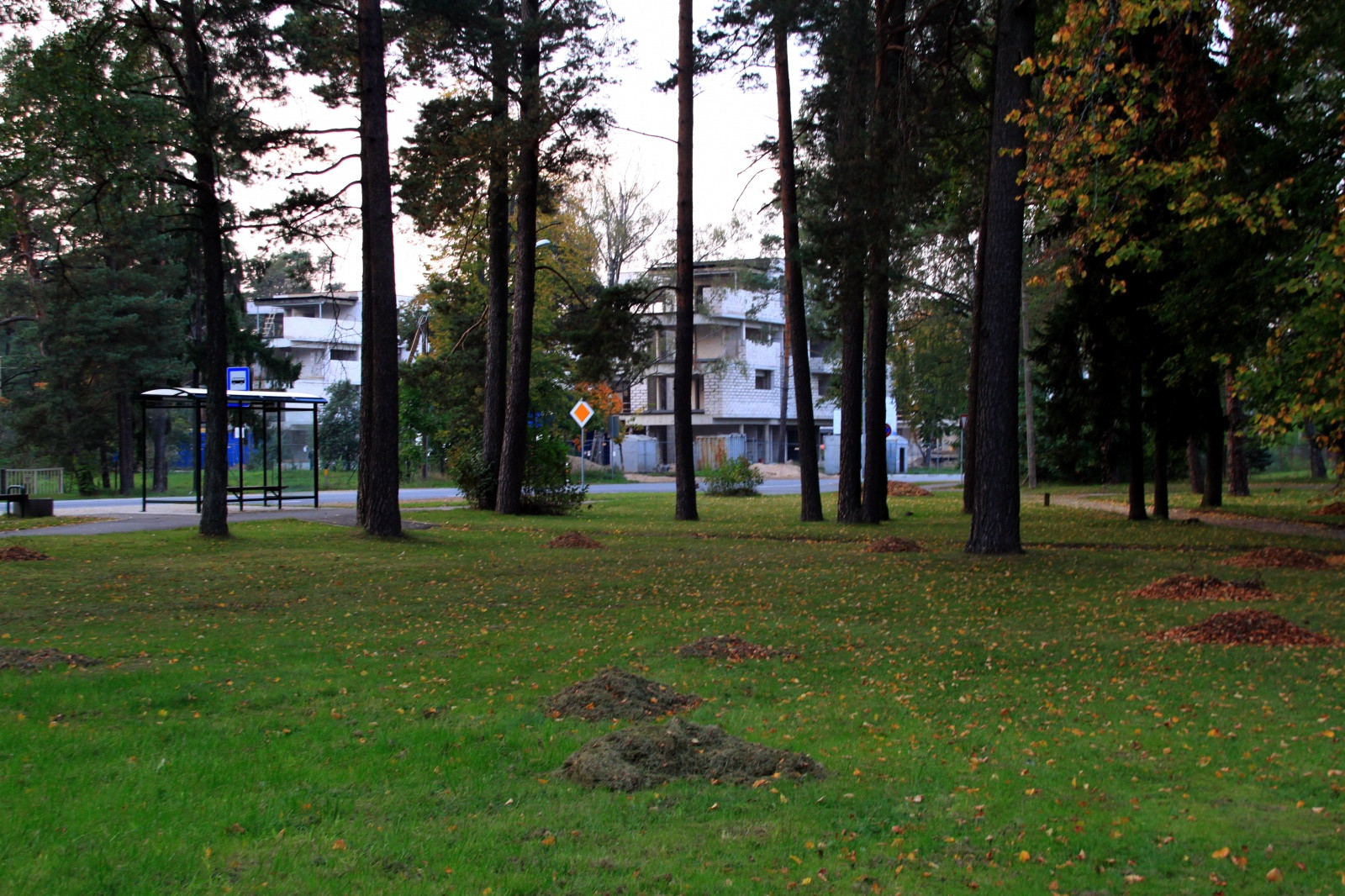 В Саулкрасты (Латвия) – фотографии Латвии