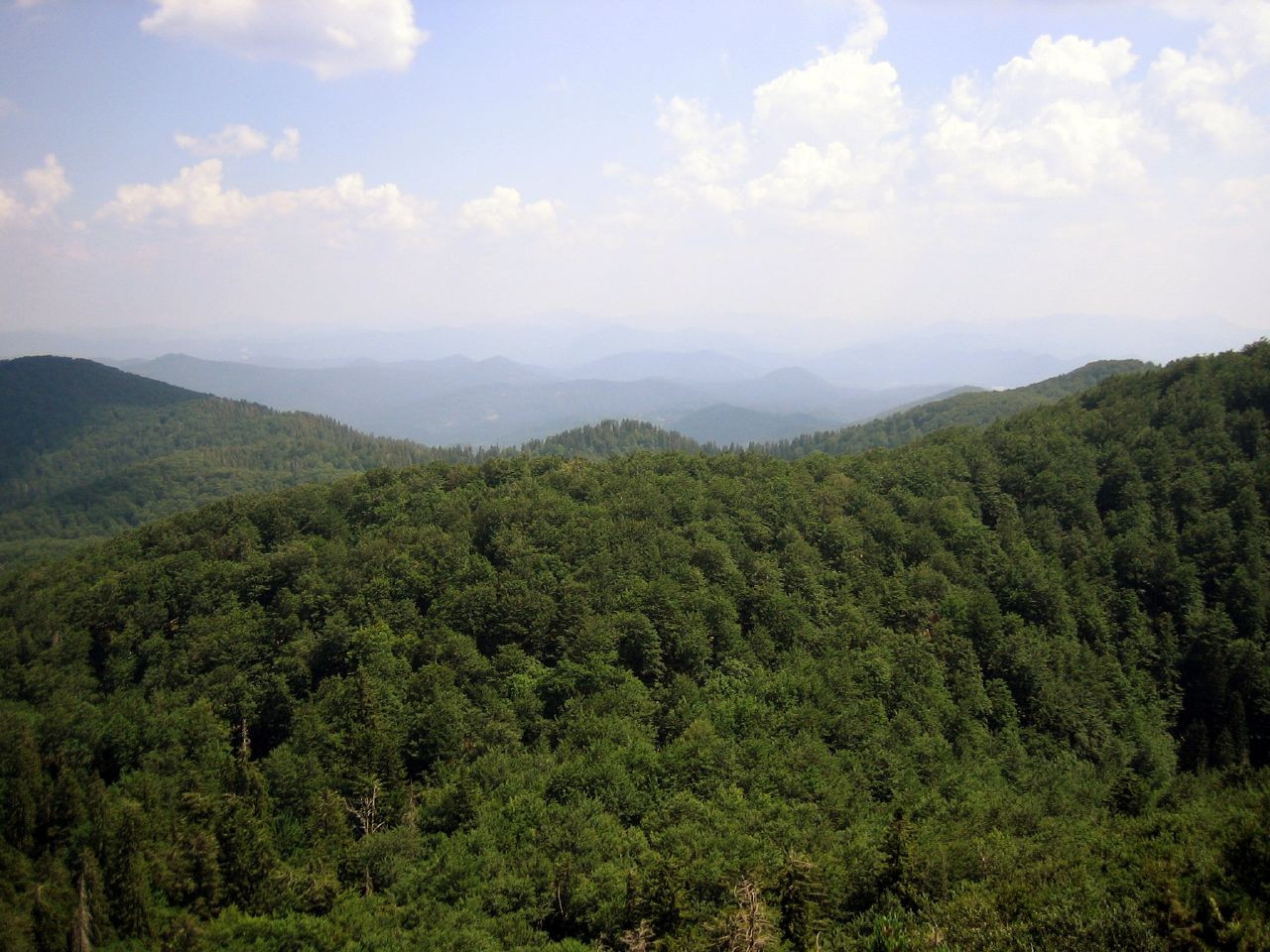 Природа в Рисняк, Хорватия. Фото 19 – фотографии Хорватии