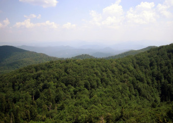 Природа в Рисняк, Хорватия. Фото 19 – фотографии Хорватии