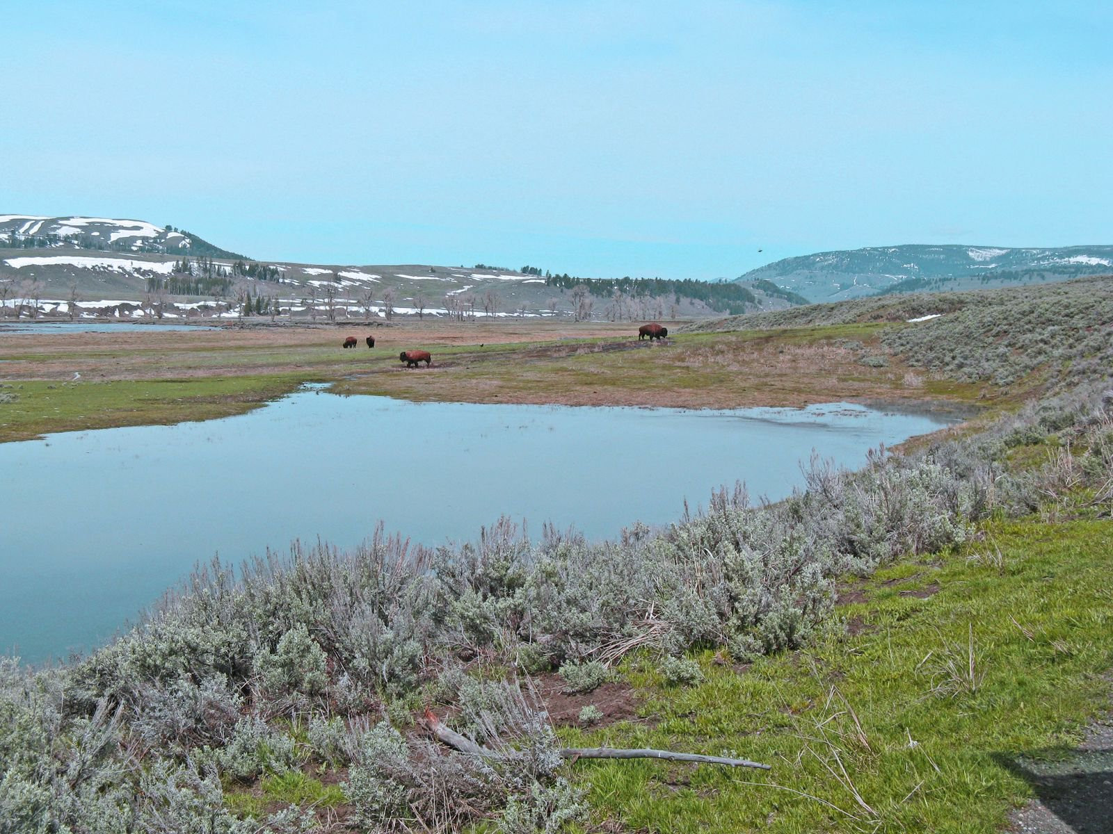 Йеллоустоун Национальный Парк, Вайоминг штат, США, фото № 67740 – фотографии США