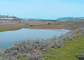 Йеллоустоун Национальный Парк, Вайоминг штат, США, фото № 67740 – фотографии США