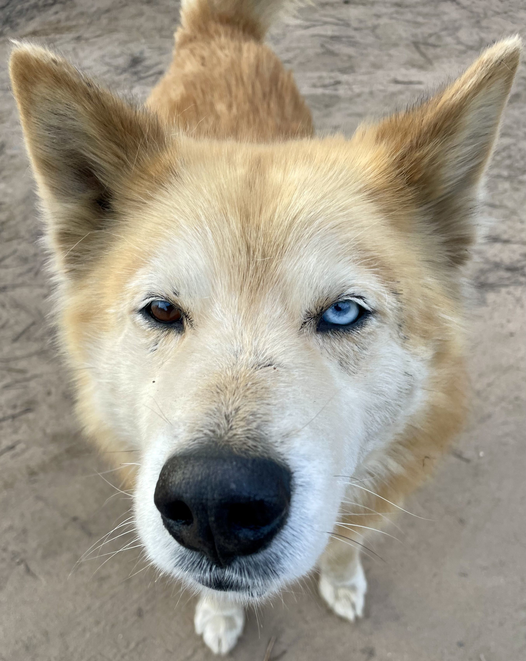 . – фотографии