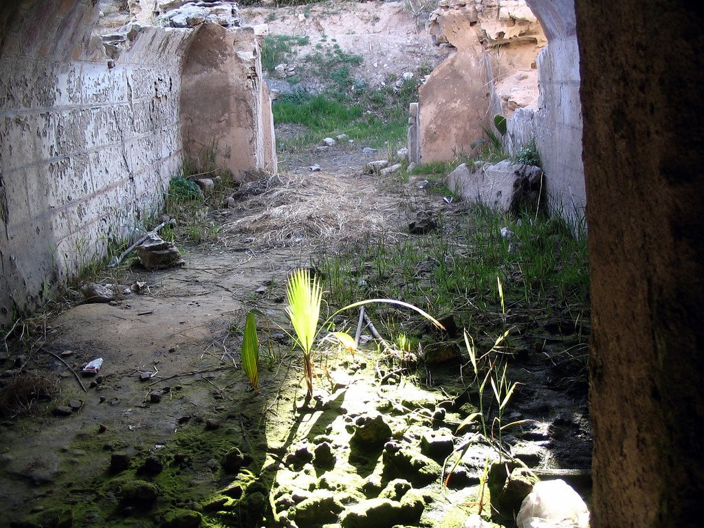 Некрополь Анфуши – фотографии Египта