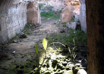 Некрополь Анфуши – фотографии Египта