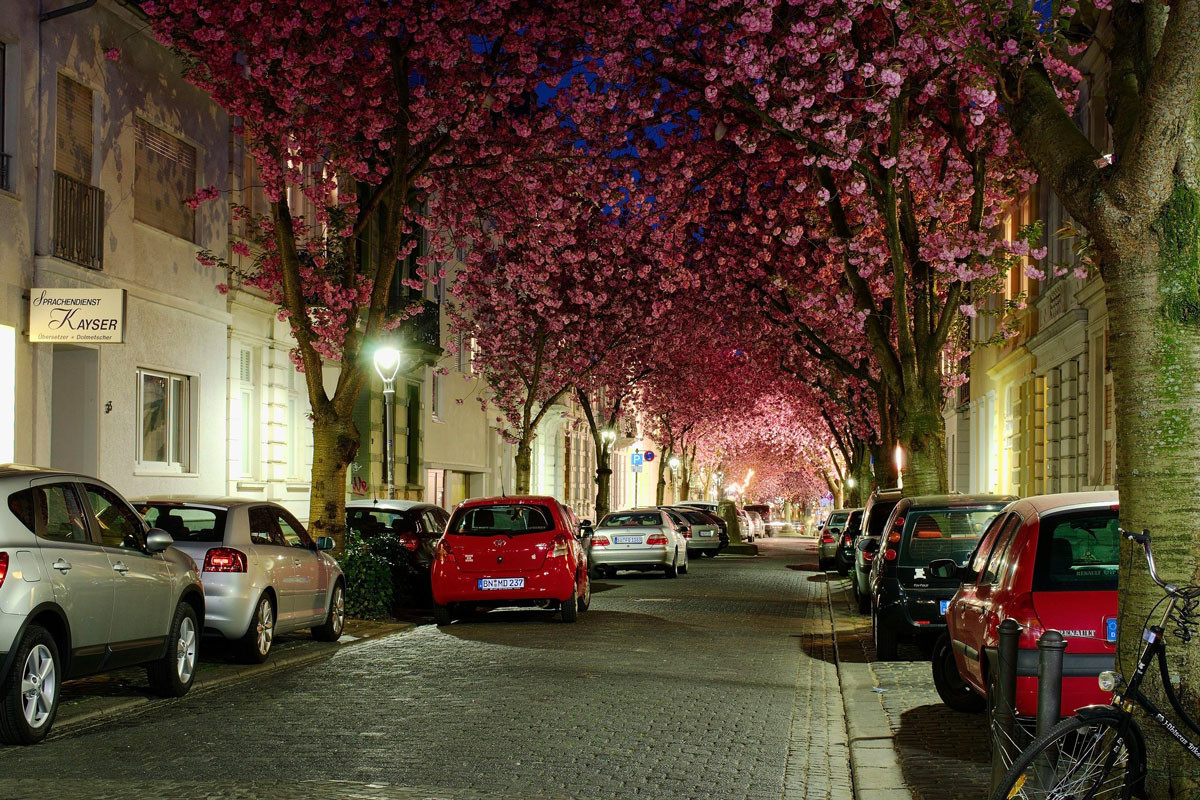 Невозможно представить место более романтичнее, чем это - на уютной улочке Херштрассе в Бонне – фотографии Германии