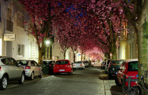 Невозможно представить место более романтичнее, чем это - на уютной улочке Херштрассе в Бонне – фотографии Германии