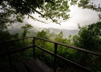 Природное изобилие на тропе Сендеро-де-лос-Кетцалес, Панама – фотографии Панамы