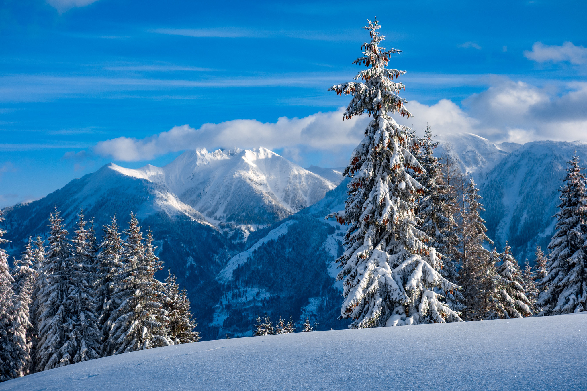 Горы Гольдегг. Австрия – фотографии Австрии