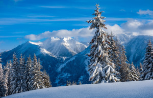 Горы Гольдегг. Австрия – фотографии Австрии