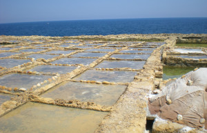 Швини-Бэй, Гозо остров, Мальта, фото № 41676 – фотографии Мальты