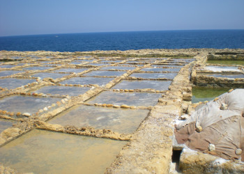 Швини-Бэй, Гозо остров, Мальта, фото № 41676 – фотографии Мальты