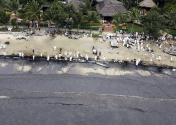 Разлив нефти в заливе Prao Bay. Июль 2013. Фото 21 – фотографии Таиланда