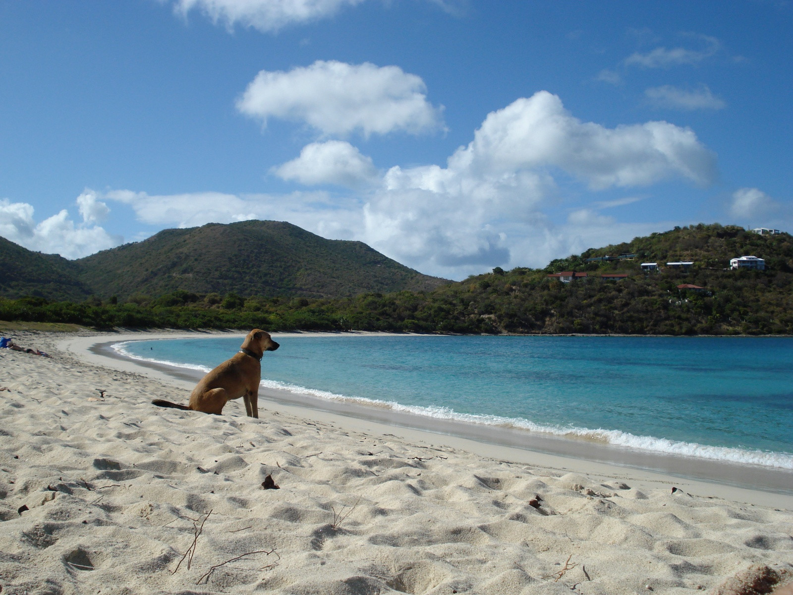 Британские Виргинские острова. Остров Тортола. Фото 4 – фотографии Британских Виргинских островов
