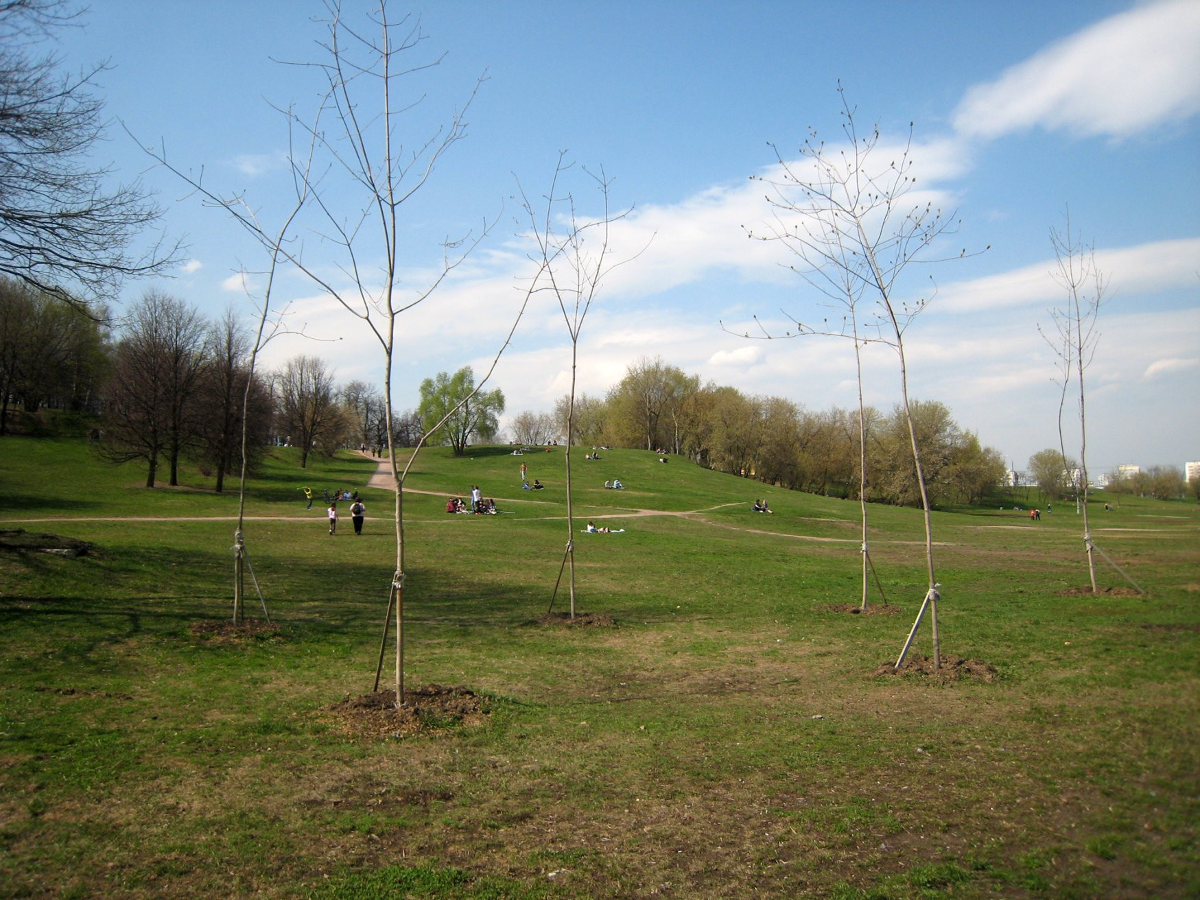 Парк Коломенское – фотографии России