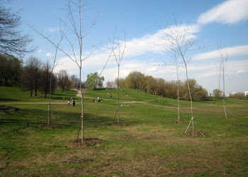 Парк Коломенское – фотографии России