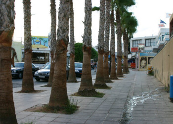 Айя-Напа, Кипр, фото № 37465 – фотографии Кипра