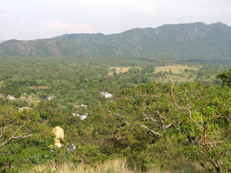 Дамбулла, Шри-Ланка, фото № 51037 – фотографии Шри-Ланки