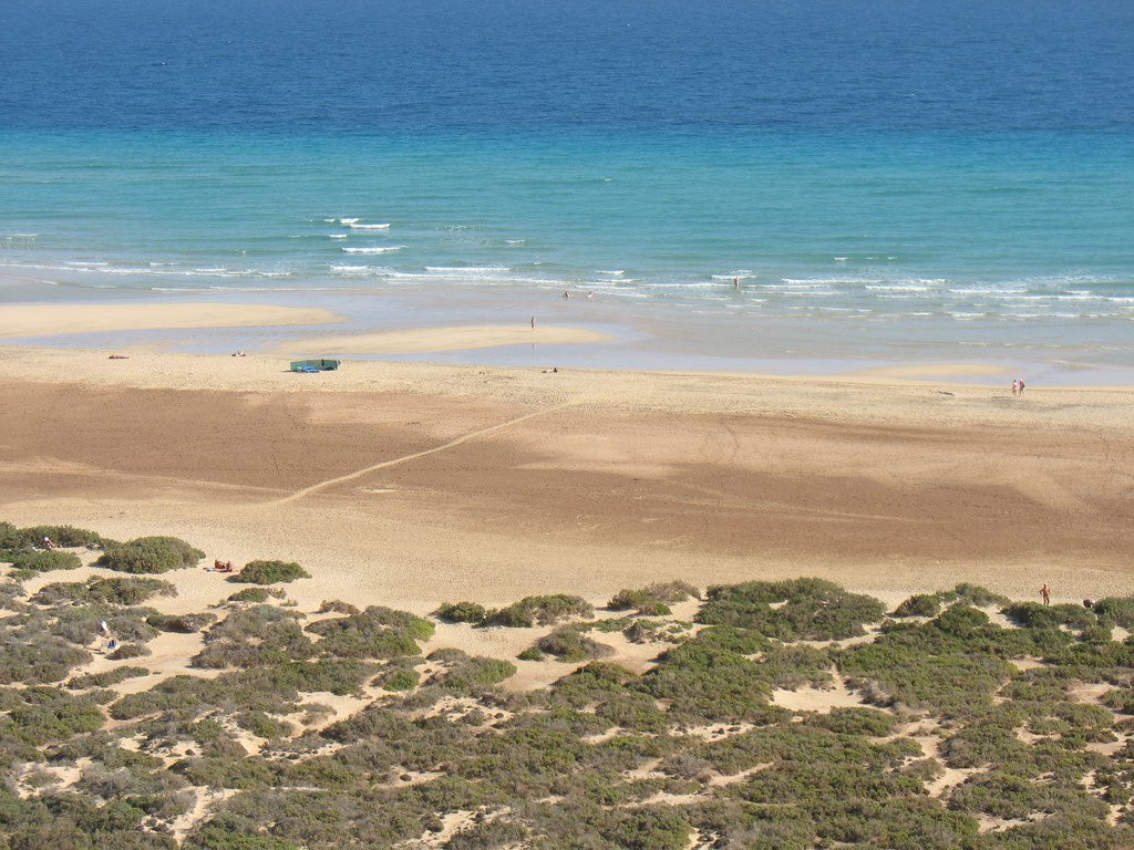 Коста-Кальма, Хандия полуостров, Фуэртевентура остров, Канарские острова, фото № 34276 – фотографии Канарских островов