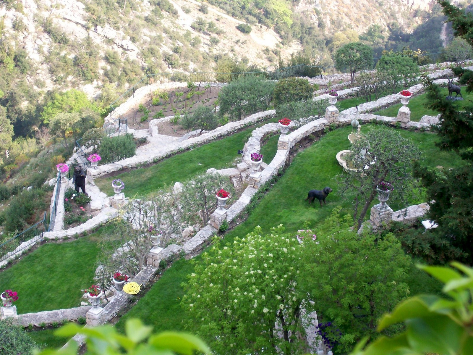 Парк в Эз, Франция – фотографии Франции