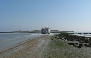 Остров Татью, Франция – фотографии Франции