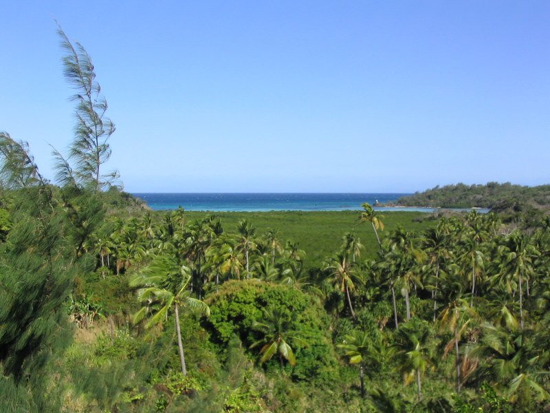 Тартл остров, Ясава группа островов, Фиджи, фото № 50370 – фотографии Фиджи