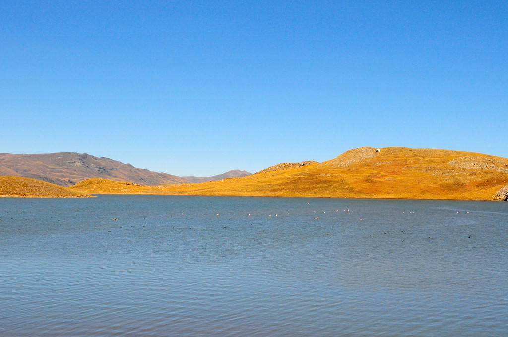Заповедник Салинас и Агуада-Бланка – фотографии Перу
