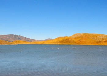 Заповедник Салинас и Агуада-Бланка – фотографии Перу