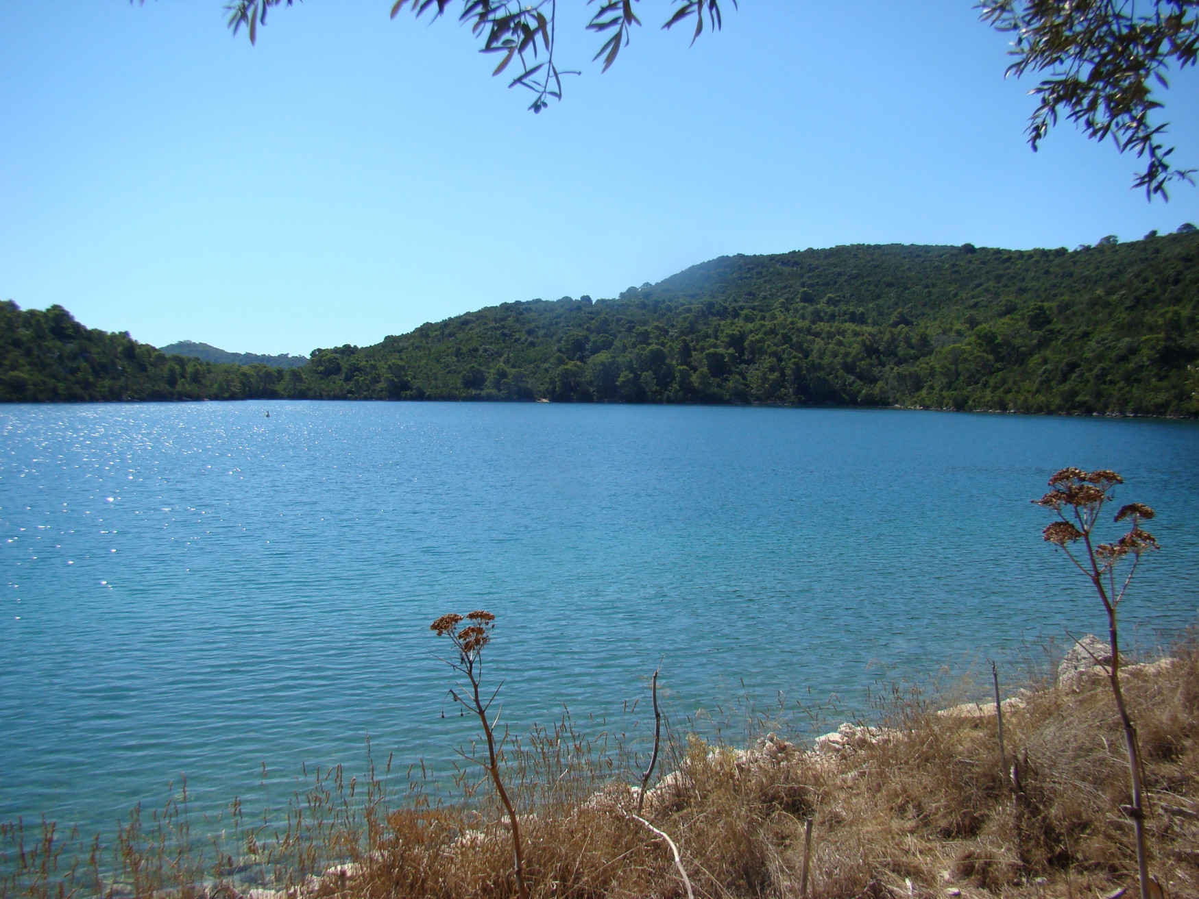 Море в Национальном парке, Хорватия. Фото 15 – фотографии Хорватии